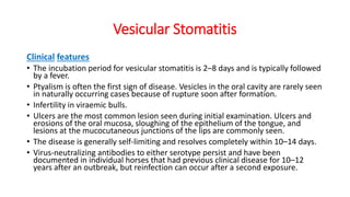 Vesicular Stomatitis
Clinical features
• The incubation period for vesicular stomatitis is 2–8 days and is typically followed
by a fever.
• Ptyalism is often the first sign of disease. Vesicles in the oral cavity are rarely seen
in naturally occurring cases because of rupture soon after formation.
• Infertility in viraemic bulls.
• Ulcers are the most common lesion seen during initial examination. Ulcers and
erosions of the oral mucosa, sloughing of the epithelium of the tongue, and
lesions at the mucocutaneous junctions of the lips are commonly seen.
• The disease is generally self-limiting and resolves completely within 10–14 days.
• Virus-neutralizing antibodies to either serotype persist and have been
documented in individual horses that had previous clinical disease for 10–12
years after an outbreak, but reinfection can occur after a second exposure.
 
