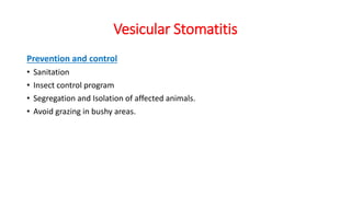 Vesicular Stomatitis
Prevention and control
• Sanitation
• Insect control program
• Segregation and Isolation of affected animals.
• Avoid grazing in bushy areas.
 