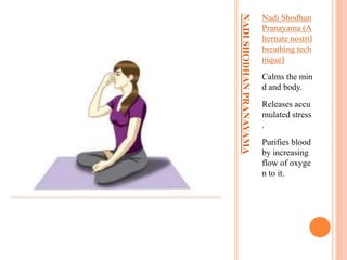 NADISHODHANPRANAYAMA
Nadi Shodhan
Pranayama (A
lternate nostril
breathing tech
nique)
Calms the min
d and body.
Releases accu
mulated stress
.
Purifies blood
by increasing
flow of oxyge
n to it.
 
