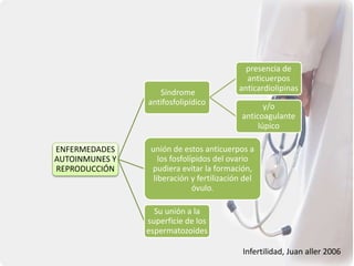 ENFERMEDADES
AUTOINMUNES Y
REPRODUCCIÓN
Síndrome
antifosfolipídico
presencia de
anticuerpos
anticardiolipinas
y/o
anticoagulante
lúpico
unión de estos anticuerpos a
los fosfolípidos del ovario
pudiera evitar la formación,
liberación y fertilización del
óvulo.
Su unión a la
superficie de los
espermatozoides
Infertilidad, Juan aller 2006
 