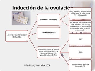 Inducción de la ovulación
AGENTES INDUCTORES DE LA
OVULACIÓN
CITRATO DE CLOMIFENO
actúa mediante la inducción de
la liberación de la hormona
FSH y LH, ovulación
50-250mg al día, durante cinco
días, comienza con la dosis
más pequeña va aumentando
en 50mg/día hasta conseguir
una ovulación.
GONADOTROPINAS
serie de hormonas secretadas
por la hipófisis, gracias a la
hormona liberadora de
gonadotropinas (GnRH),
(LH)
(FSH)
Gonadotropina coriónica
humana (HCG)
Infertilidad, Juan aller 2006
 