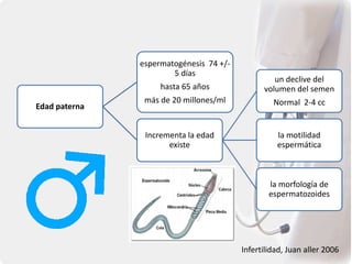 Edad paterna
espermatogénesis 74 +/-
5 días
hasta 65 años
más de 20 millones/ml
Incrementa la edad
existe
un declive del
volumen del semen
Normal 2-4 cc
la motilidad
espermática
la morfología de
espermatozoides
Infertilidad, Juan aller 2006
 