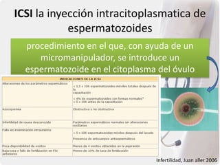 ICSI la inyección intracitoplasmatica de
espermatozoides
procedimiento en el que, con ayuda de un
micromanipulador, se introduce un
espermatozoide en el citoplasma del óvulo
Infertilidad, Juan aller 2006
 