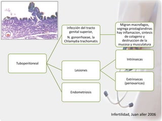 Tuboperitoneal
infección del tracto
genital superior,
N. gonorrhoeae, la
Chlamydia trachomatis
Migran macrofagos,
segrega prostaglandinas
hay inflamacion, sintesis
de colageno y
destruccion de la
mucosa y musculatura
Lesiones
Intrinsecas
Extrinsecas
(periovaricas)
Endometriosis
Infertilidad, Juan aller 2006
 