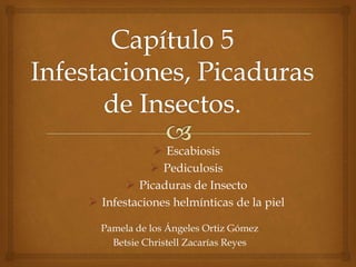 Pamela de los Ángeles Ortiz Gómez
Betsie Christell Zacarías Reyes
 Escabiosis
 Pediculosis
 Picaduras de Insecto
 Infestaciones helmínticas de la piel
 