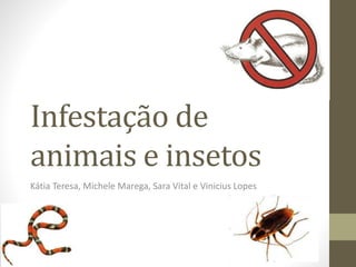 Infestação de
animais e insetos
Kátia Teresa, Michele Marega, Sara Vital e Vinicius Lopes
 