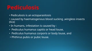 Infested Body Parasitic infestation of the skin in dermatology | PPTX