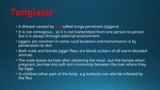 Parasitic infestation of the skin in dermatology | PPTX