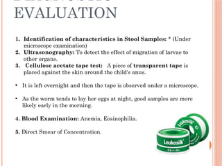 Scoth Test infestation. In children or neonates and infants | PPTX