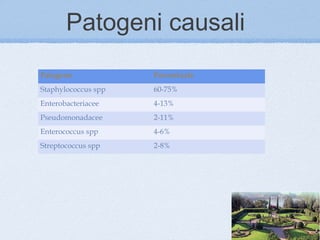 Patogeni causali
Patogeno             Percentuale
Staphylococcus spp   60-75%
Enterobacteriacee    4-13%
Pseudomonadacee      2-11%
Enterococcus spp     4-6%
Streptococcus spp    2-8%
 
