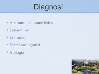 Diagnosi
Anamnesi ed esame fisico
Laboratorio
Colturale
Esami radiografici
Istologia
 