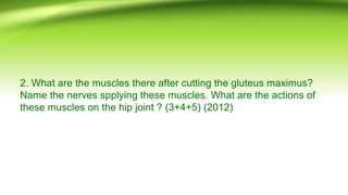 2. What are the muscles there after cutting the gluteus maximus?
Name the nerves spplying these muscles. What are the actions of
these muscles on the hip joint ? (3+4+5) (2012)
 