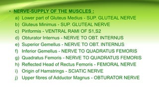 • NERVE-SUPPLY OF THE MUSCLES :
a) Lower part of Gluteus Medius - SUP. GLUTEAL NERVE
b) Gluteus Minimus - SUP. GLUTEAL NERVE
c) Piriformis - VENTRAL RAMI OF S1,S2
d) Obturator Internus - NERVE TO OBT. INTERNUS
e) Superior Gemellus - NERVE TO OBT. INTERNUS
f) Inferior Gemellus - NERVE TO QUADRATUS FEMORIS
g) Quadratus Femoris - NERVE TO QUADRATUS FEMORIS
h) Reflected Head of Rectus Femoris - FEMORAL NERVE
i) Origin of Hamstrings - SCIATIC NERVE
j) Upper fibres of Adductor Magnus - OBTURATOR NERVE
 