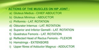 • ACTIONS OF THE MUSCLES ON HIP JOINT :
a) Gluteus Medius - CHIEF ABDUCTOR
b) Gluteus Minimus - ABDUCTOR
c) Piriformis - LAT. ROTATION
d) Obturator Internus - LAT. ROTATION
e) Superior and Inferior Gemelli - LAT. ROTATION
f) Quadratus Femoris - LAT. ROTATION
g) Reflected Head of Rectus Femoris - FLEXOR
h) Hamstrings - EXTENSORS
i) Upper fibres of Adductor Magnus - ADDUCTOR
 