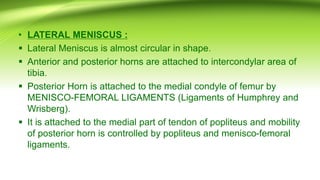 • LATERAL MENISCUS :
▪ Lateral Meniscus is almost circular in shape.
▪ Anterior and posterior horns are attached to intercondylar area of
tibia.
▪ Posterior Horn is attached to the medial condyle of femur by
MENISCO-FEMORAL LIGAMENTS (Ligaments of Humphrey and
Wrisberg).
▪ It is attached to the medial part of tendon of popliteus and mobility
of posterior horn is controlled by popliteus and menisco-femoral
ligaments.
 