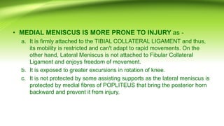 • MEDIAL MENISCUS IS MORE PRONE TO INJURY as -
a. It is firmly attached to the TIBIAL COLLATERAL LIGAMENT and thus,
its mobility is restricted and can't adapt to rapid movements. On the
other hand, Lateral Meniscus is not attached to Fibular Collateral
Ligament and enjoys freedom of movement.
b. It is exposed to greater excursions in rotation of knee.
c. It is not protected by some assisting supports as the lateral meniscus is
protected by medial fibres of POPLITEUS that bring the posterior horn
backward and prevent it from injury.
 