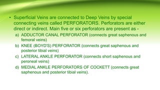 • Superficial Veins are connected to Deep Veins by special
connecting veins called PERFORATORS. Perforators are either
direct or indirect. Main five or six perforators are present as -
a) ADDUCTOR CANAL PERFORATOR (connects great saphenous and
femoral veins)
b) KNEE (BOYD'S) PERFORATOR (connects great saphenous and
posterior tibial veins)
c) LATERAL ANKLE PERFORATOR (connects short saphenous and
peroneal veins)
d) MEDIAL ANKLE PERFORATORS OF COCKETT (connects great
saphenous and posterior tibial veins).
 