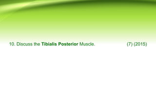10. Discuss the Tibialis Posterior Muscle. (7) (2015)
 