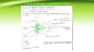 1. ILIO-FEMORAL LIGAMENT (2006)
 
