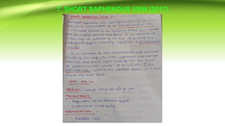 7. SHORT SAPHENOUS VEIN (2017)
 