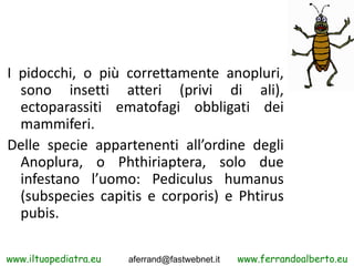 I pidocchi, o più correttamente anopluri,
  sono insetti atteri (privi di ali),
  ectoparassiti ematofagi obbligati dei
  ...