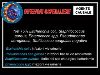 INFEZIONI OSPEDALIERE AGENTE  CAUSALE Nel 75%  Escherichia coli, Staphilococcus  aureus, Enterococco spp, Pseudomonas aeruginosa, Stafilococco coagulasi negativo   Escherichia coli   : infezioni vie urinarie Pseudomonas aeruginosa   : infezioni basse vie respiratorie Staphilococcus aureus   : ferite del sito chirurgico, batteriemie Enterococco spp : infezioni vie urinarie 
