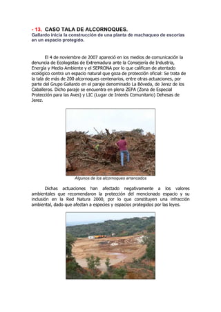 - 13. CASO TALA DE ALCORNOQUES.
Gallardo inicia la construcción de una planta de machaqueo de escorias
en un espacio protegido.


        El 4 de noviembre de 2007 apareció en los medios de comunicación la
denuncia de Ecologistas de Extremadura ante la Consejería de Industria,
Energía y Medio Ambiente y el SEPRONA por lo que califican de atentado
ecológico contra un espacio natural que goza de protección oficial: Se trata de
la tala de más de 200 alcornoques centenarios, entre otras actuaciones, por
parte del Grupo Gallardo en el paraje denominado La Bóveda, de Jerez de los
Caballeros. Dicho paraje se encuentra en plena ZEPA (Zona de Especial
Protección para las Aves) y LIC (Lugar de Interés Comunitario) Dehesas de
Jerez.




                      Algunos de los alcornoques arrancados

       Dichas actuaciones han afectado negativamente a los valores
ambientales que recomendaron la protección del mencionado espacio y su
inclusión en la Red Natura 2000, por lo que constituyen una infracción
ambiental, dado que afectan a especies y espacios protegidos por las leyes.
 