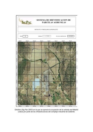 Ortofoto (Sig Pac 2007) en la que se aprecia la ocupación de la cañada real Madrd-
    Lisboa por parte de las infraestructuras del complejo industrial de Gallardo.
 