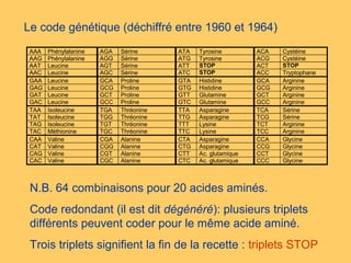 Le code génétique (déchiffré entre 1960 et 1964)
AAA Phénylalanine AGA Sérine ATA Tyrosine ACA Cystéine
AAG Phénylalanine AGG Sérine ATG Tyrosine ACG Cystéine
AAT Leucine AGT Sérine ATT STOP ACT STOP
AAC Leucine AGC Sérine ATC STOP ACC Tryptophane
GAA Leucine GCA Proline GTA Histidine GCA Arginine
GAG Leucine GCG Proline GTG Histidine GCG Arginine
GAT Leucine GCT Proline GTT Glutamine GCT Arginine
GAC Leucine GCC Proline GTC Glutamine GCC Arginine
TAA Isoleucine TGA Thréonine TTA Asparagine TCA Sérine
TAT Isoleucine TGG Thréonine TTG Asparagine TCG Sérine
TAG Isoleucine TGT Thréonine TTT Lysine TCT Arginine
TAC Méthionine TGC Thréonine TTC Lysine TCC Arginine
CAA Valine CGA Alanine CTA Asparagine CCA Glycine
CAT Valine CGG Alanine CTG Asparagine CCG Glycine
CAG Valine CGT Alanine CTT Ac. glutamique CCT Glycine
CAC Valine CGC Alanine CTC Ac. glutamique CCC Glycine
N.B. 64 combinaisons pour 20 acides aminés.
Code redondant (il est dit dégénéré): plusieurs triplets 
différents peuvent coder pour le même acide aminé.
Trois triplets signifient la fin de la recette : triplets STOP
 