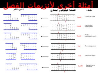 ‫الفصل‬ ‫لنزيمات‬ ‫أخرى‬ ‫أمثلة‬
 