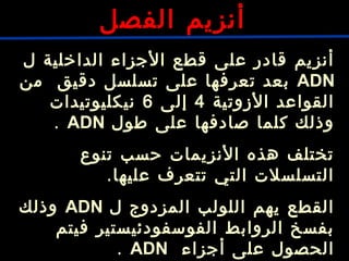 ‫ل‬ ‫الداخلية‬ ‫الجزاء‬ ‫قطع‬ ‫على‬ ‫قادر‬ ‫أنزيم‬
ADN‫من‬ ‫دقيق‬ ‫تسلسل‬ ‫على‬ ‫تعرفها‬ ‫بعد‬
‫الزوتية‬ ‫القواعد‬4‫إلى‬6‫نيكليوتيدات‬
‫طول‬ ‫على‬ ‫صادفها‬ ‫كلما‬ ‫وذلك‬ADN.
‫تنوع‬ ‫حسب‬ ‫النزيمات‬ ‫هذه‬ ‫تختلف‬
.‫عليها‬ ‫تتعرف‬ ‫التي‬ ‫التسلسلت‬
‫ل‬ ‫المزدوج‬ ‫اللولب‬ ‫يهم‬ ‫القطع‬ADN‫وذلك‬
‫فيتم‬ ‫الفوسفودئيستير‬ ‫الروابط‬ ‫بفسخ‬
‫أجزاء‬ ‫على‬ ‫الحصول‬ADN.
‫الفصل‬ ‫أنزيم‬
 