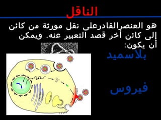 ‫كائن‬ ‫من‬ ‫مورثة‬ ‫نقل‬ ‫العنصرالقادرعلى‬ ‫هو‬
.‫ويمكن‬ ‫عنه‬ ‫التعبير‬ ‫قصد‬ ‫أخر‬ ‫كائن‬ ‫إلى‬
:‫يكون‬ ‫أن‬
‫بلسميد‬
‫فيروس‬
‫الناقل‬
 