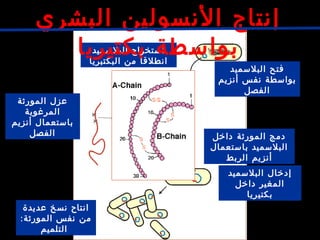‫البلسميد‬ ‫استخراج‬
‫البكتبريا‬ ‫من‬ ‫انطلقا‬
‫البلسميد‬ ‫فتح‬
‫أنزيم‬ ‫نفس‬ ‫بواسطة‬
‫الفصل‬
‫المورثة‬ ‫عزل‬
‫المرغوبة‬
‫أنزيم‬ ‫باستعمال‬
‫الفصل‬ ‫داخل‬ ‫المورثة‬ ‫دمج‬
‫باستعمال‬ ‫البلسميد‬
‫الربط‬ ‫أنزيم‬
‫البلسميد‬ ‫إدخال‬
‫داخل‬ ‫المغير‬
‫بكتيريا‬
‫عديدة‬ ‫نسخ‬ ‫انتاح‬
:‫المورثة‬ ‫نفس‬ ‫من‬
‫التلميم‬
‫البشري‬ ‫النسولين‬ ‫إنتاج‬
‫بكتيريا‬ ‫بواسطة‬
 