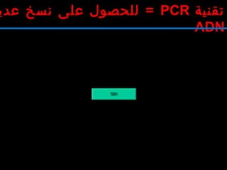 ‫تقنية‬PCR=‫عدي‬ ‫نسخ‬ ‫على‬ ‫للحصول‬
ADN.
 