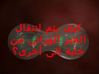 ‫النباتية‬ ‫الخلية‬ ‫حالة‬
‫انتقال‬ ‫يتم‬ ‫كيف‬
‫من‬ ‫الوراثي‬ ‫الخبر‬
‫أخرى‬ ‫إلى‬ ‫خلية‬‫؟‬
 