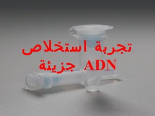 ‫استخلص‬ ‫تجربة‬
‫جزيئة‬ ADN
 