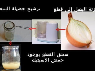 ‫جزيئة‬ADN.‫عنه‬ ‫الفراج‬ ‫خطوة‬ ‫هده‬ ‫تسمح‬ ‫النواة‬ ‫سجينة‬ ‫ضخمة‬
‫قطع‬ ‫إلى‬ ‫البصل‬ ‫زئة‬
‫بوجود‬ ‫القطع‬ ‫سحق‬
‫السيتيك‬ ‫حمض‬
‫السح‬ ‫حصيلة‬ ‫ترشيح‬
 