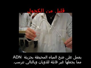 ‫الكحول‬ ‫من‬ ‫قليل‬
‫بجزيئة‬ ‫المحيطة‬ ‫المياه‬ ‫ضخ‬ ‫على‬ ‫يعمل‬ADN
.‫تترسب‬ ‫وبالتالي‬ ‫للذوبان‬ ‫قابلة‬ ‫غير‬ ‫يجعلها‬ ‫مما‬
 