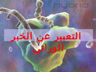 ‫الخبر‬ ‫عن‬ ‫التعبير‬
‫الوراثي‬
 