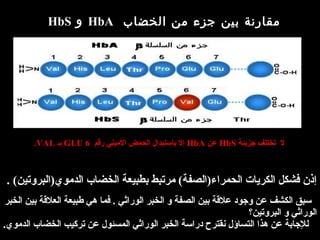 ‫الخضاب‬ ‫من‬ ‫جزء‬ ‫بين‬ ‫مقارنة‬HbA‫و‬HbS
  ‫ل‬  ‫تختلف جزيئة‬HbS ‫ عن‬HbA‫ إل باستبدال الحمض اليميني‬   ‫رقم‬6 GLU ‫ بـ‬VAL.
. (‫إذن فشكل الكريات الحمراء)الصفة( يمرتبط بطبيعة الخضاب الديموي)البروتين‬
 
    ‫سبق الكشف عن وجود علقة بين الصفة و الخبر الوراثي . فما هي طبيعة العلقة بين الخبر‬
 ‫الوراثي و البروتين؟‬
.‫   للجابة عن هذا التساؤل نقترح دراسة الخبر الوراثي المسئول عن تركيب الخضاب الديموي‬
 