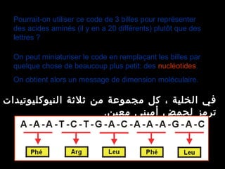 Pourrait-on utiliser ce code de 3 billes pour représenter 
des acides aminés (il y en a 20 différents) plutôt que des 
lettres ?
On peut miniaturiser le code en remplaçant les billes par 
quelque chose de beaucoup plus petit: des nucléotides.
On obtient alors un message de dimension moléculaire.
‫النيوكليوتيدات‬ ‫ثلثة‬ ‫من‬ ‫مجموعة‬ ‫كل‬ ، ‫الخلية‬ ‫في‬
.‫معين‬ ‫أميني‬ ‫لحمض‬ ‫ترمز‬
 