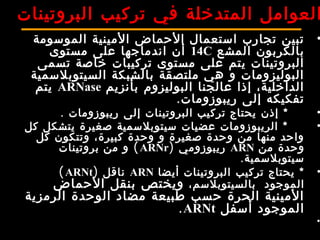  ‫بعض المحماض‬
‫اليمينية‬ ARNt ‫ريبوزوم‬ ARNm
1‫ يموقع تثبيت الحمض اليميني‬
2‫ يمضاد الومحدة الريمزية‬
1 ‫ومحدة ريبوزويمية كبيرة‬
2‫ ومحدة ريبوزويمية صغيرة‬
‫البروتينات‬ ‫تركيب‬ ‫في‬ ‫المتدخلة‬ ‫العوامل‬
•‫الموسومة‬ ‫المينية‬ ‫الحماض‬ ‫استعمال‬ ‫تجارب‬ ‫تبين‬
‫المشع‬ ‫بالكربون‬14C‫مستوى‬ ‫على‬ ‫اندماجها‬ ‫أن‬
‫تسمى‬ ‫خاصة‬ ‫تركيبات‬ ‫مستوى‬ ‫على‬ ‫يتم‬ ‫البروتينات‬
‫السيتوبلسمية‬ ‫بالشبكة‬ ‫ملتصقة‬ ‫هي‬ ‫و‬ ‫البوليزومات‬
‫بأنزيم‬ ‫البوليزوم‬ ‫عالجنا‬ ‫إذا‬ ،‫الداخلية‬ARNase‫يتم‬
.‫ريبوزومات‬ ‫إلى‬ ‫تفكيكه‬
•*    ‫إذن‬‫البروتينات‬ ‫تركيب‬ ‫يحتاج‬‫إلى‬‫ريبوزومات‬.
•‫كل‬ ‫يتشكل‬ ‫صغيرة‬ ‫سيتوبلسمية‬ ‫عضيات‬ ‫الريبوزومات‬ *    
‫كل‬ ‫وتتكون‬ ،‫كبيرة‬ ‫وحدة‬ ‫و‬ ‫صغيرة‬ ‫وحدة‬ ‫من‬ ‫منها‬ ‫واحد‬
‫من‬ ‫وحدة‬ARN) ‫ريبوزومي‬ARNr(‫بروتينات‬ ‫من‬ ‫و‬
.‫سيتوبلسمية‬
•‫أيضا‬ ‫البروتينات‬ ‫تركيب‬ ‫يحتاج‬ *ARN) ‫ناقل‬ARNt(
،‫بالسيتوبلسم‬  ‫الموجود‬‫الحماض‬ ‫بنقل‬ ‫ويختص‬
‫الرمزية‬ ‫الوحدة‬ ‫مضاد‬ ‫طبيعة‬ ‫حسب‬ ‫الحرة‬ ‫المينية‬
‫أسفل‬ ‫الموجود‬ARNt.
• 
 
