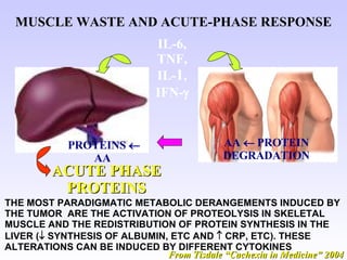MUSCLE WASTE AND ACUTE-PHASE RESPONSE IL-6, TNF, IL- 1 , IFN-  PROTEINS    AA   ACUTE PHASE PROTEINS AA    PROTEIN DEGRADATION THE MOST PARADIGMATIC METABOLIC DERANGEMENTS INDUCED BY THE TUMOR  ARE THE ACTIVATION OF PROTEOLYSIS IN SKELETAL MUSCLE AND THE REDISTRIBUTION OF PROTEIN SYNTHESIS IN THE LIVER (   SYNTHESIS OF ALBUMIN, ETC AND    CRP, ETC). THESE ALTERATIONS CAN BE INDUCED BY DIFFERENT CYTOKINES From Tisdale “Cachexia in Medicine” 2004 