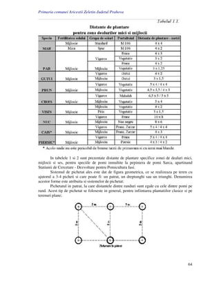 Primaria comunei Aricestii Zeletin-Judetul Prahova




       In tabelele 1 si 2 sunt prezentate distante de plantare specifice zonei de dealuri mici,
mijlocii si ses, pentru speciile de pomi inmultite la pepiniera de pomi Sarca, apartinand
Statiunii de Cercetare - Dezvoltare pentru Pomicultura Iasi.
       Sistemul de pichetat ales este dat de figura geometrica, ce se realizeaza pe teren cu
ajutorul a 3-4 picheti si care poate fi: un patrat, un dreptunghi sau un triunghi. Denumirea
acestor forme este atribuita si sistemelor de pichetat:
       Pichetatul in patrat, la care distantele dintre randuri sunt egale cu cele dintre pomi pe
rand. Acest tip de pichetat se foloseste in general, pentru infiintarea plantatiilor clasice si pe
terenuri plane;




                                                                                               64
 