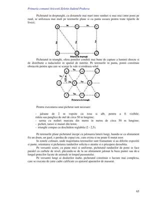 Primaria comunei Aricestii Zeletin-Judetul Prahova

        Pichetatul in dreptunghi, cu distantele mai mari intre randuri si mai mici intre pomi pe
rand, se utilizeaza mai mult pe terenurile plane si cu panta usoara pentru toate tipurile de
livezi;




       Pichetatul in triunghi, ofera pomilor conditii mai bune de captare a luminii directe si
de distributie a radacinilor in spatiul de nutritie. Pe terenurile in panta, pomii constituie
obstacole pentru apa care se scurge la vale si erodeaza solul.




       Pentru executarea unui pichetat sunt necesare:

      - jaloane de 2 m vopsite cu rosu si alb, pentru a fi vizibile;
      ruleta sau panglica de otel de circa 50 m lungime;
      - sarma cu noduri marcata din metru in metru de circa 50 m lungime;
      - picheti, tarusi si maiuri din lemn;
      - triunghi compas cu deschidere reglabila (2 - 2,5).

        Pe terenurile plane pichetatul incepe cu jalonarea laturii lungi, luandu-se ca aliniament
fix un drum, un gard, o perdea de copaci etc, care exista si nu poate fi mutat usor.
        In zonele colinare, unde majoritatea terenurilor sunt framantate si au diferite expozitii
si pante, orientarea si pichetarea randurilor solicita o atentie si o pricepere deosebita.
        Pe versantii scurti, cu pante mici si uniforme, pichetatul randurilor de pomi se face
paralel cu curbele de nivel, plecandu-se de la un aliniament jalonat la baza pantei sau de-a
lungul potecilor facute de animale in timpul pasunatului.
        Pe versantii lungi ai dealurilor inalte, pichetatul constituie o lucrare mai complexa,
care se executa de catre cadre calificate cu ajutorul aparatelor de masurat.




                                                                                              65
 