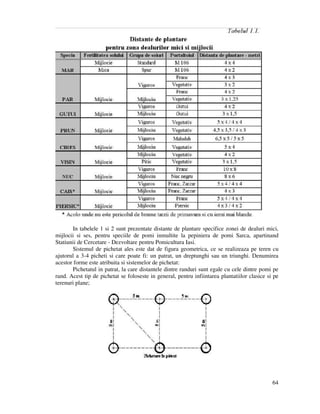 64
In tabelele 1 si 2 sunt prezentate distante de plantare specifice zonei de dealuri mici,
mijlocii si ses, pentru speciile de pomi inmultite la pepiniera de pomi Sarca, apartinand
Statiunii de Cercetare - Dezvoltare pentru Pomicultura Iasi.
Sistemul de pichetat ales este dat de figura geometrica, ce se realizeaza pe teren cu
ajutorul a 3-4 picheti si care poate fi: un patrat, un dreptunghi sau un triunghi. Denumirea
acestor forme este atribuita si sistemelor de pichetat:
Pichetatul in patrat, la care distantele dintre randuri sunt egale cu cele dintre pomi pe
rand. Acest tip de pichetat se foloseste in general, pentru infiintarea plantatiilor clasice si pe
terenuri plane;
 