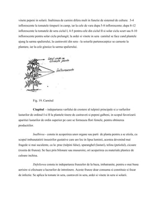 Infiintarea si intretinerea culturilor de legume | DOCX