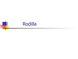 Rodilla 