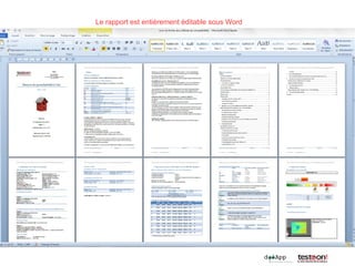 Le rapport est entièrement éditable sous Word
 