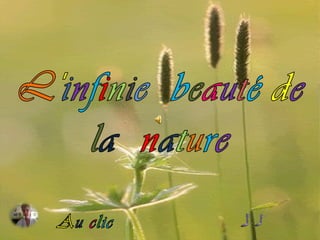 Infinie beaut+® de la nature